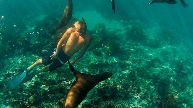 Sailing The Galapagos Islands 9 YAW279.cruise galapagos.f0tynj