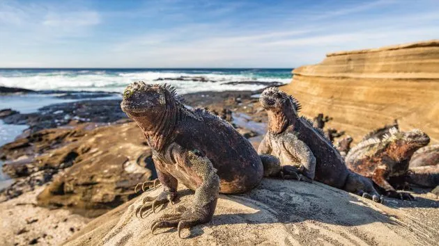 Sailing The Galapagos Islands 3 YAW279.cruise galapagos.gettyimages 1329616198