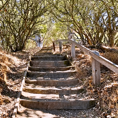 hiking