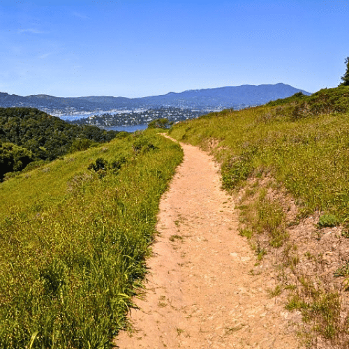 angel island trail