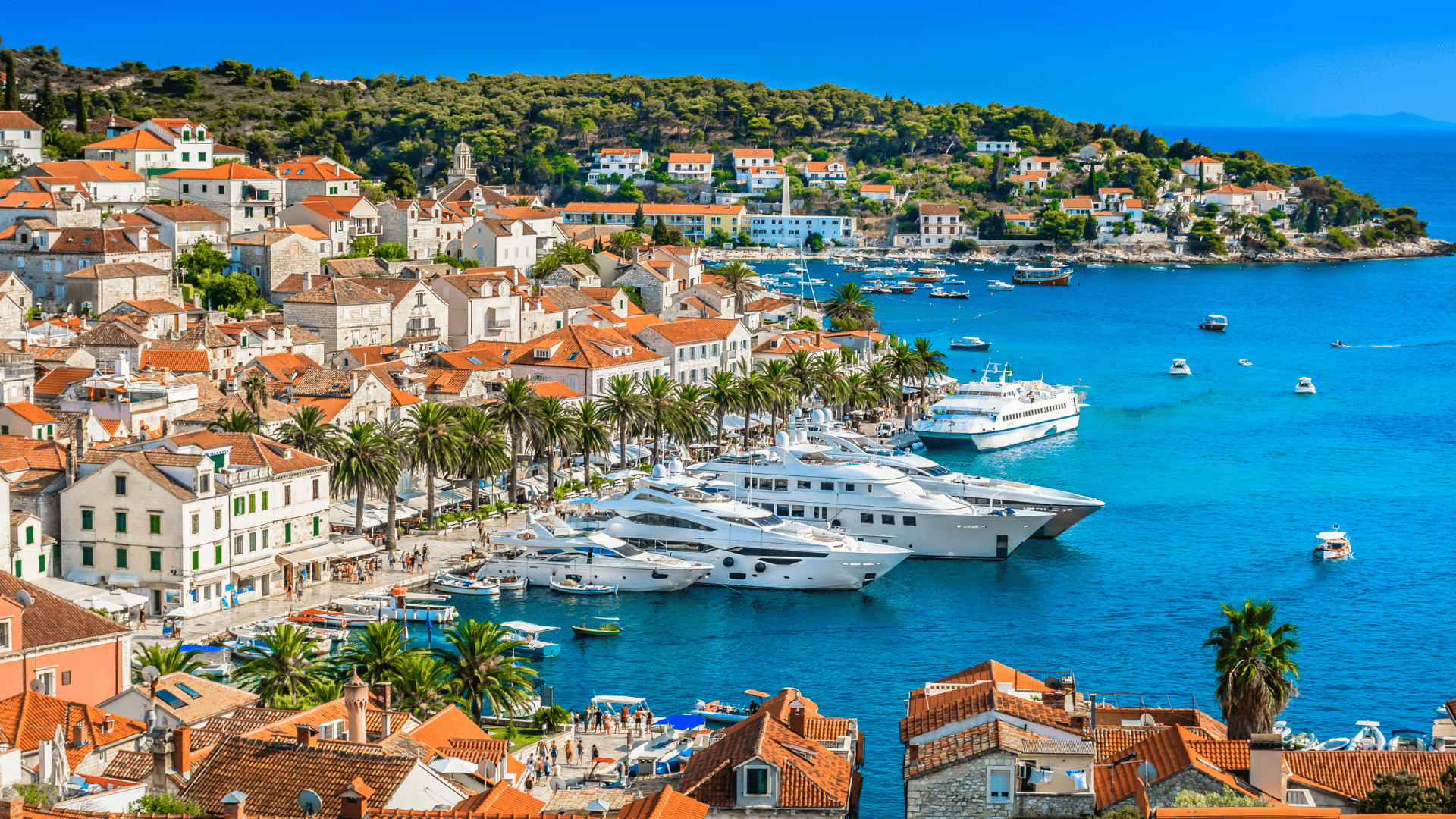 international boating license